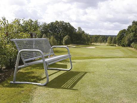 A bench on the lawn.