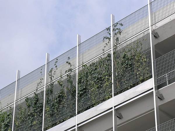 Swage locked gratings are installed on the surface of building and several plants growing on it.